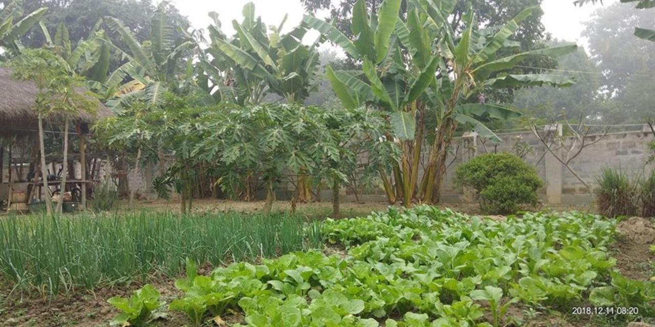 Blue Vanda Lodge Nyaung Shwe Dış mekan fotoğraf